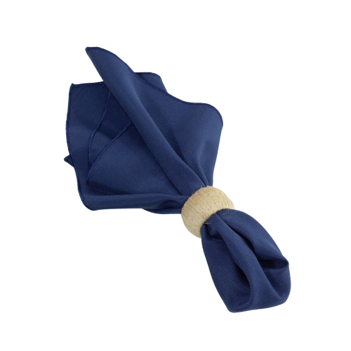 Buy the Case – Navy Poly Napkins