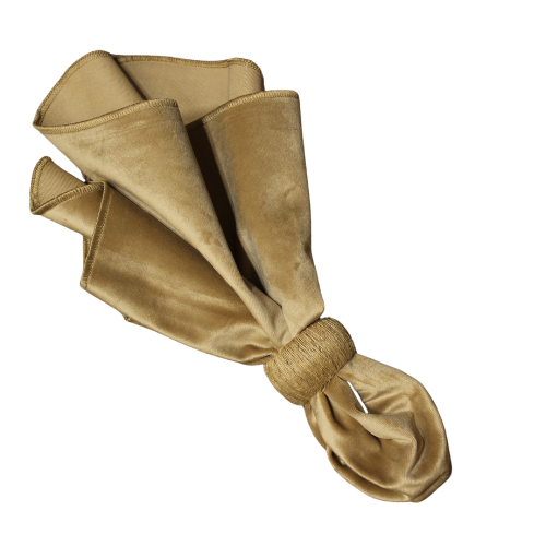 Tan Velvet Napkin